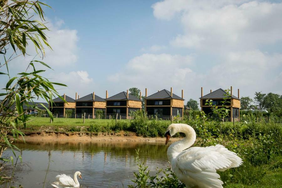Camping Nieuw Romalo Voorthuizen Eksteriør billede
